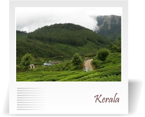 deccan-travels-corporation-kerala-green-travel-tour-package-nashik